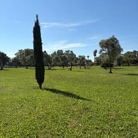 La Des Pins Apartment *