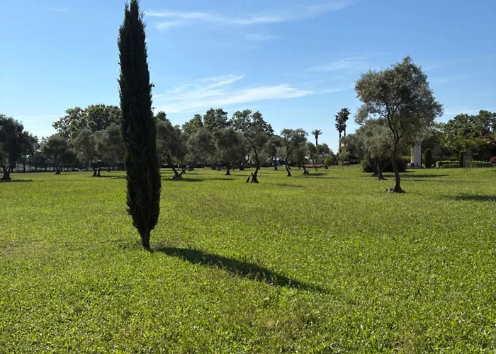 La Des Pins Apartman *